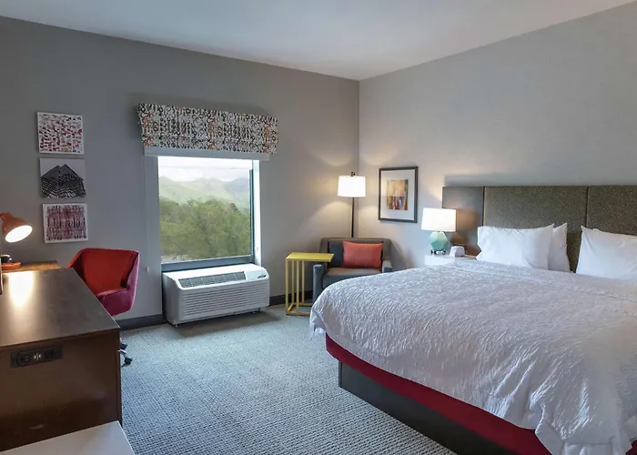 Hampton Inn Black Mountain